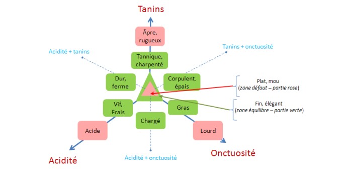 10 mots pour parler du vin